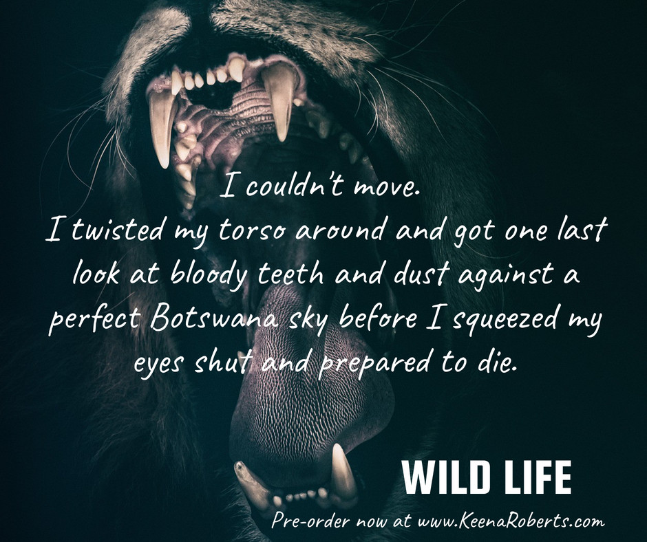 FB WL Visual Lion in Your Face